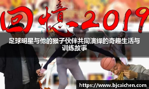 evo视讯平台
